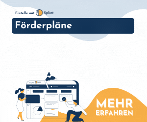 SPLINT individuelle Förderplanung